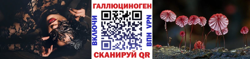 купить закладку  Курильск  Галлюциногенные грибы Psilocybine cubensis 