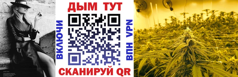 Каннабис сатива  Курильск 